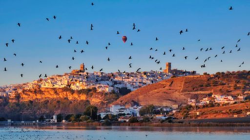 A beautiful view of hot air balloon and birds flying over a river