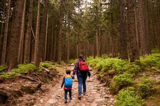 A rear view of a woman and child walking hand in hand on a footpath in the Karkonosze Mountains, Poland