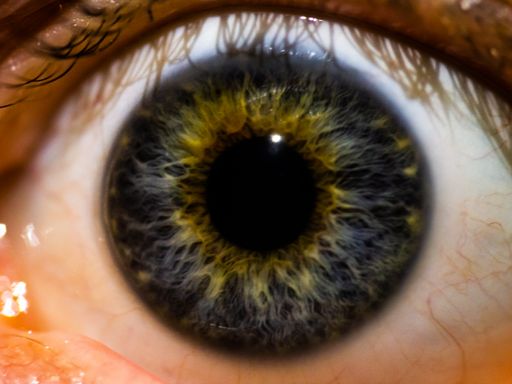 A macro shot of a beautiful blue eye with central heterochromia under the lights