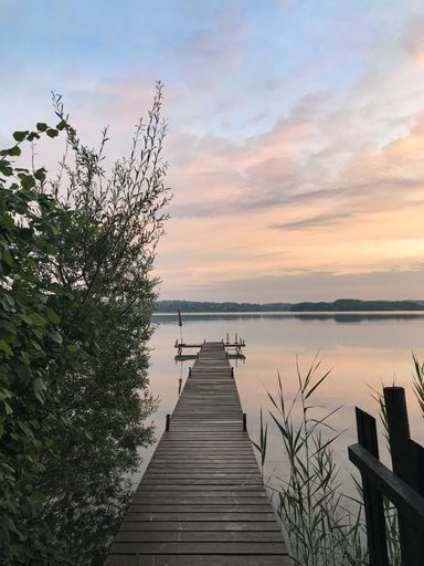 A vertical shot of a wooden dock on the body of water near a green plant during sunset