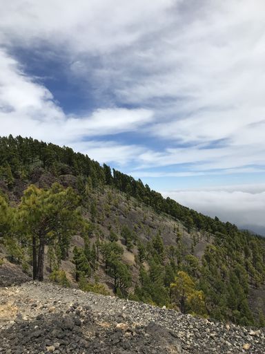 A vertical shot of mountains covered with green trees under a blue sky with clouds