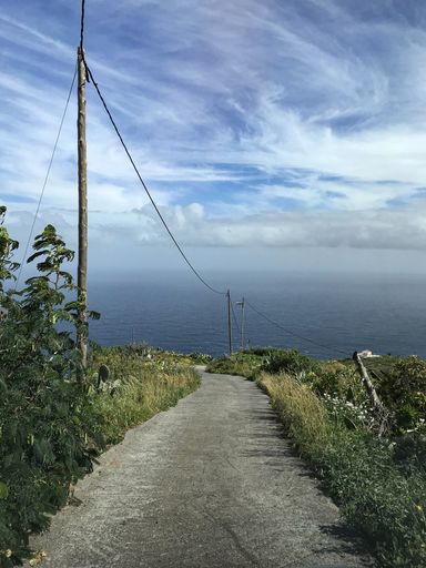 A vertical shot of a road in the middle of plants and grass by the body of water under a blue sky with clouds
