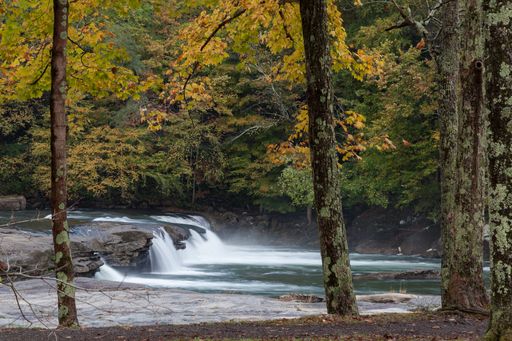 The Valley Falls on the Tygart Valley River surrounded by greenery at daylight in West Virginia