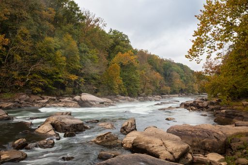 The Tygart Valley River surrounded by trees at daylight in the Valley Falls State Park, West Virginia