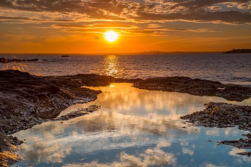 A beautiful view of the wavy Tasmanian Sea gleaming under the sunset on the coast