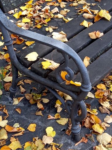 A vertical closeup of a bench and fallen leaves on the sidewalk