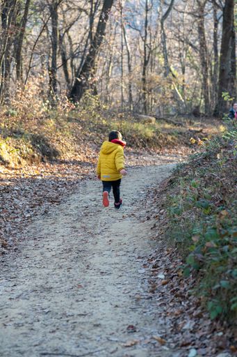 A vertical back view of a baby walking along the path in the park on the cold winter day