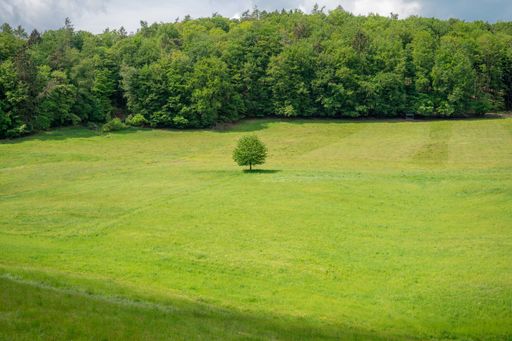 pasture land and orchards are typical of this landscape