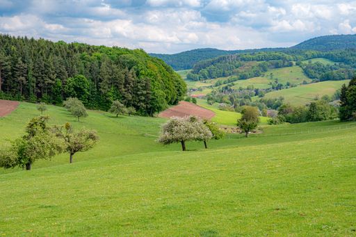 pasture land and orchards are typical of this landscape