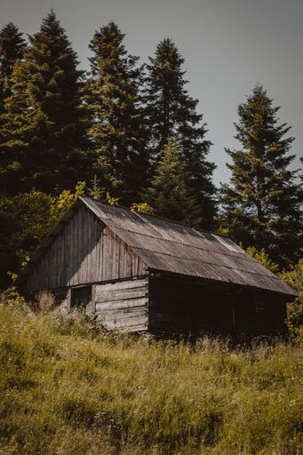 An abandoned old wooden house in the forest.