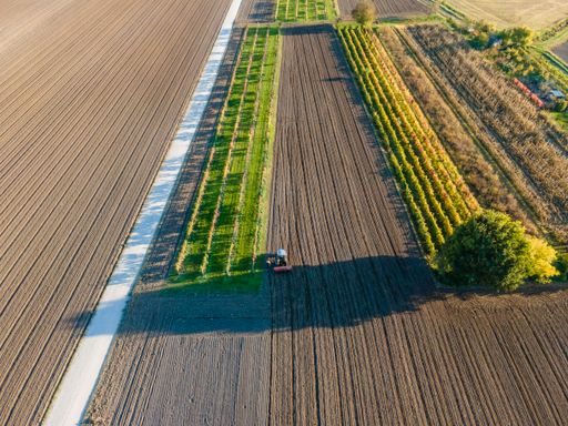 An aerial view of a tractor working in an agricultural field at sunset in Udine, Friuli Venezia Giulia