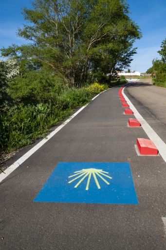 A vertical high angle shot of a blue sign on the road surrounded by trees