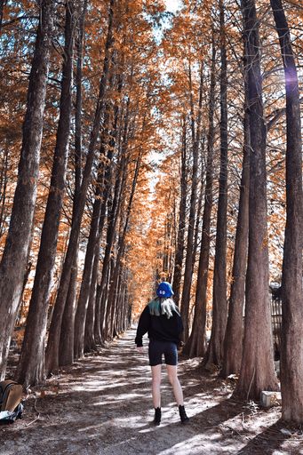 A vertical shot of a woman hiking in the woods surrounded by colorful trees