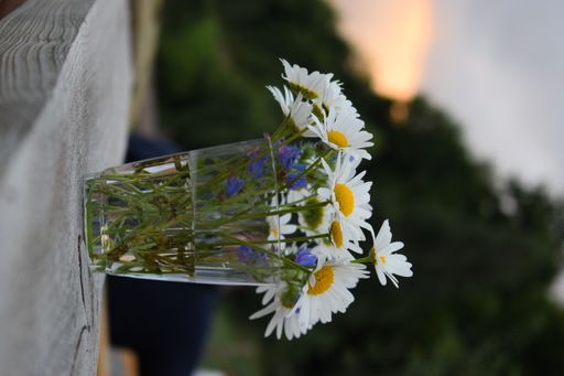 A vertical shot of some chamomile and Chicory flowers in a glass vase.