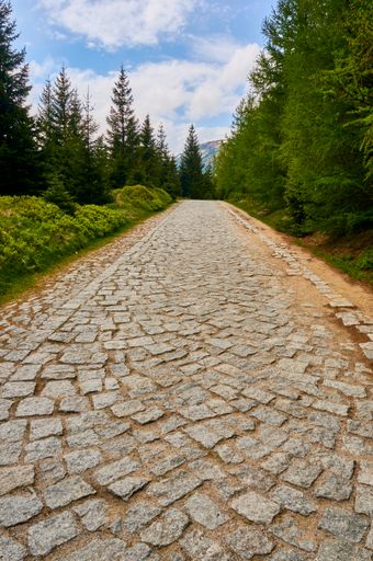 A vertical shot of a footpath lined with evergreen trees on the Karkonosze mountains in Poland