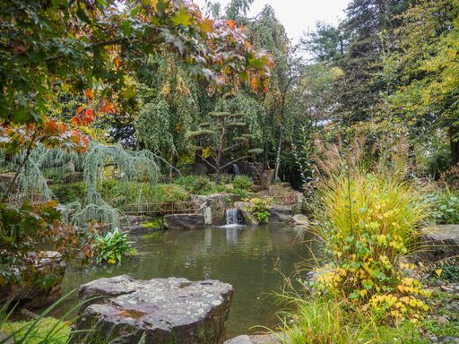 A beautiful Japanese garden in the city of Nantes with a lake and bridge