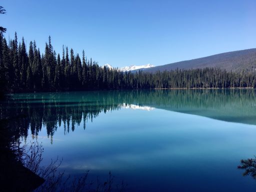 A beautiful shot of Yoho National Park is in the Rocky Mountains in Canada