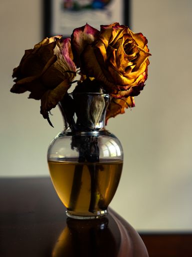 A vertical shot of dried roses in the vase