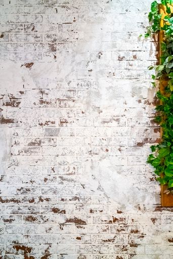 A vertical shot of the textured white brick wall