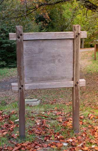 A vertical shot of a wooden boar in a park under the sunlight at daytime