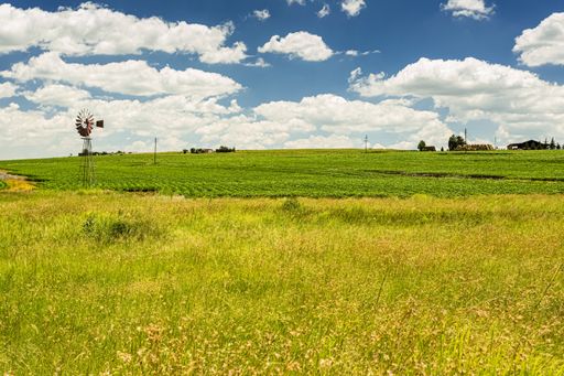 A wide angle view of Small scale farm in the Highveld region of South Africa
