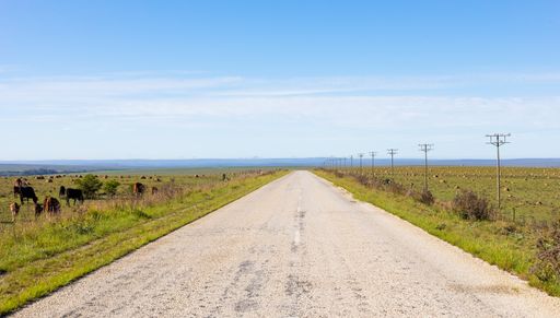 An empty country highway road in South African Farmland region