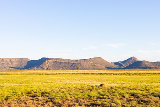 A rural Grassland Farming Area of the Karoo Semi-desert in South Africa