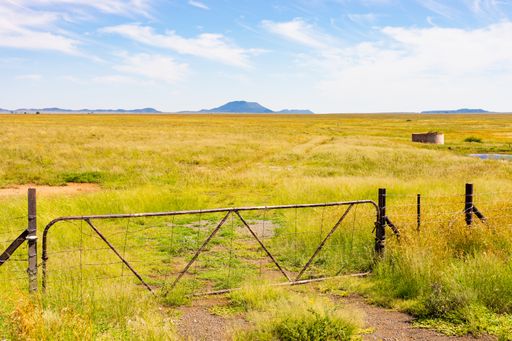A farm gate and fence in rural grassland area of South Africa