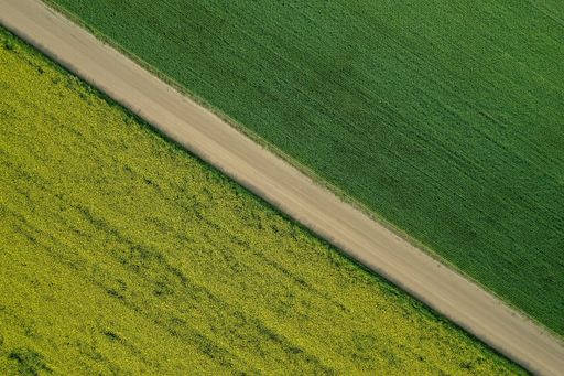 An overhead shot of a large farming field with a narrow road in the middle during daytime