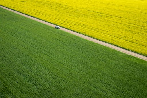 A bird's-eye view of a large field with a narrow road in the middle during a sunny day
