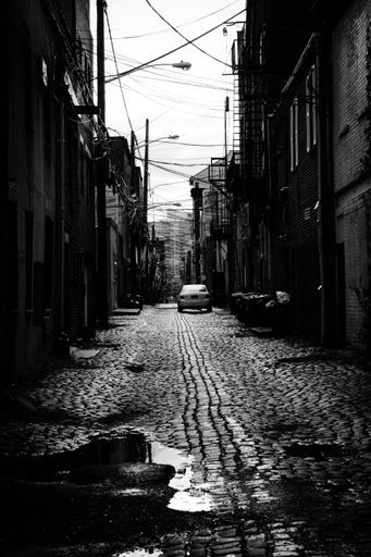 A vertical grayscale shot of a small cobblestone alley