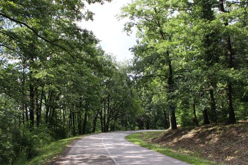 A view of the road going through the beautiful forest