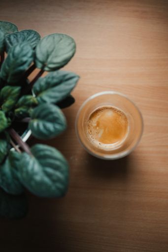 A vertical top view of a glass of coffee and a potted plant