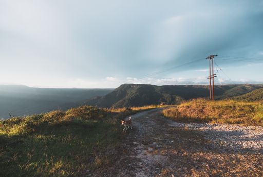 A road on hills covered in greenery with a transmission tower on it under the sunlight and a cloudy sky