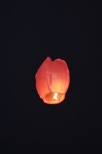a vertical shot of a flying red paper sky lanterns