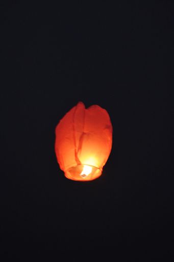 a vertical shot of a flying red paper sky lanterns