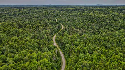An aerial shot of a field full of green trees during the day