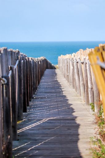 A vertical shot of a wooden fence on a beach