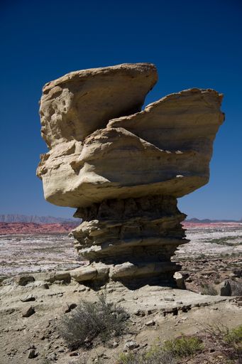 A vertical of green shrubs growing in front of a huge rock tower in a desert with the background of a blue sky