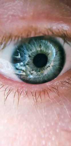 A beautiful macro shot of a human's deep blue eye
