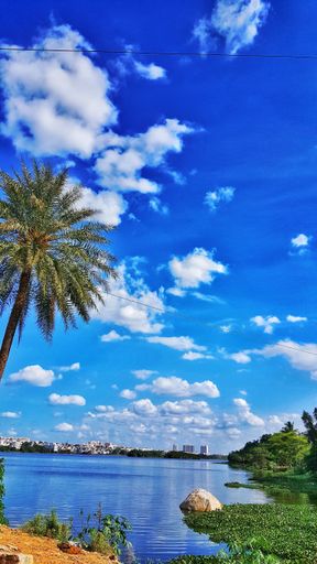 A vertical shot of the beach with palms and view to the city during a sunny day