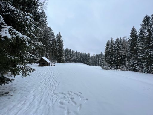 A beautiful view of the snowy field, house and fir trees on a gloomy day