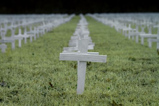 A closeup shot of a row of white crosses on a field