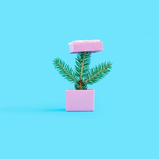 A small christmas tree made of fir twigs and gift box on it isolated on the blue background
