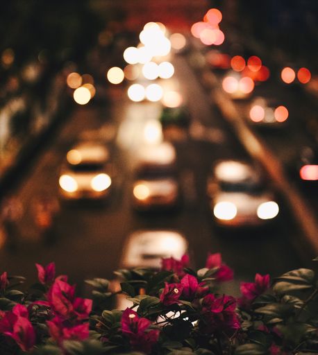 A selective focus shot of pink flowers on a bridge railing and defocused street lights at night