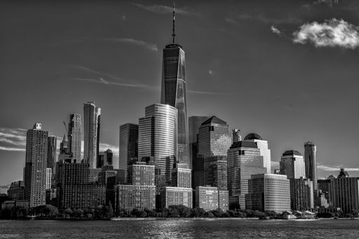 A grayscale shot of New York Cruises Jersey the USA