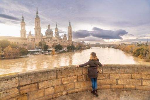 A rear view of a lady at the Cathedral-Basilica of Our Lady of the Pillar in Zaragoza, Spain