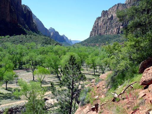 A beautiful view of Zion National Park in Utah, USA