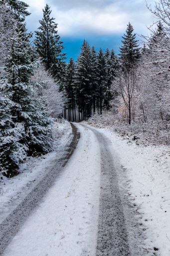 A vertical shot of a pathway surrounded by trees covered in the snow under a cloudy sky
