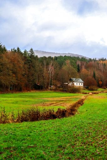 A vertical shot of a building in a field surrounded by a forest under a cloudy sky in the countryside